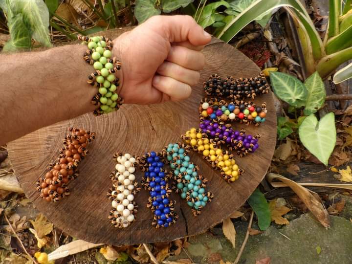 Pulseiras Ticuna de Sementes de Açaí Amazônicas