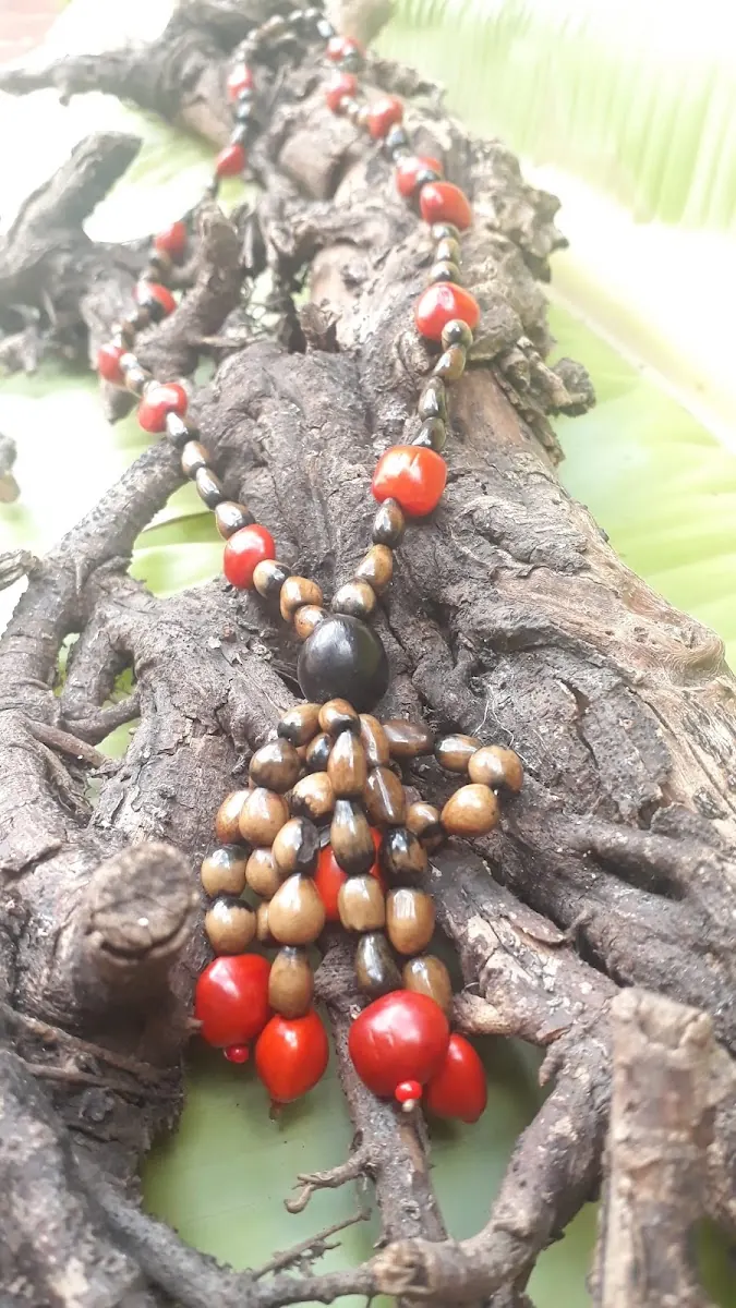 Biojoias da Floresta